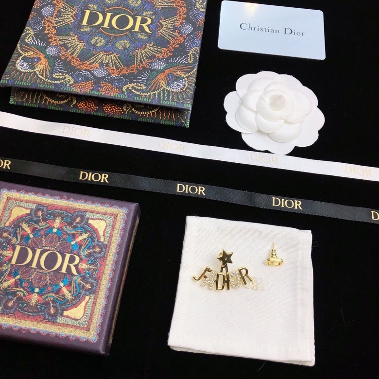 Christian Dior Earrings